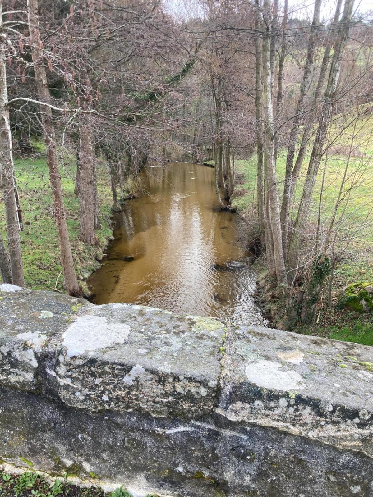 Jolie Maison De Campagne, Compostelle Villa Soleymieux Kültér fotó