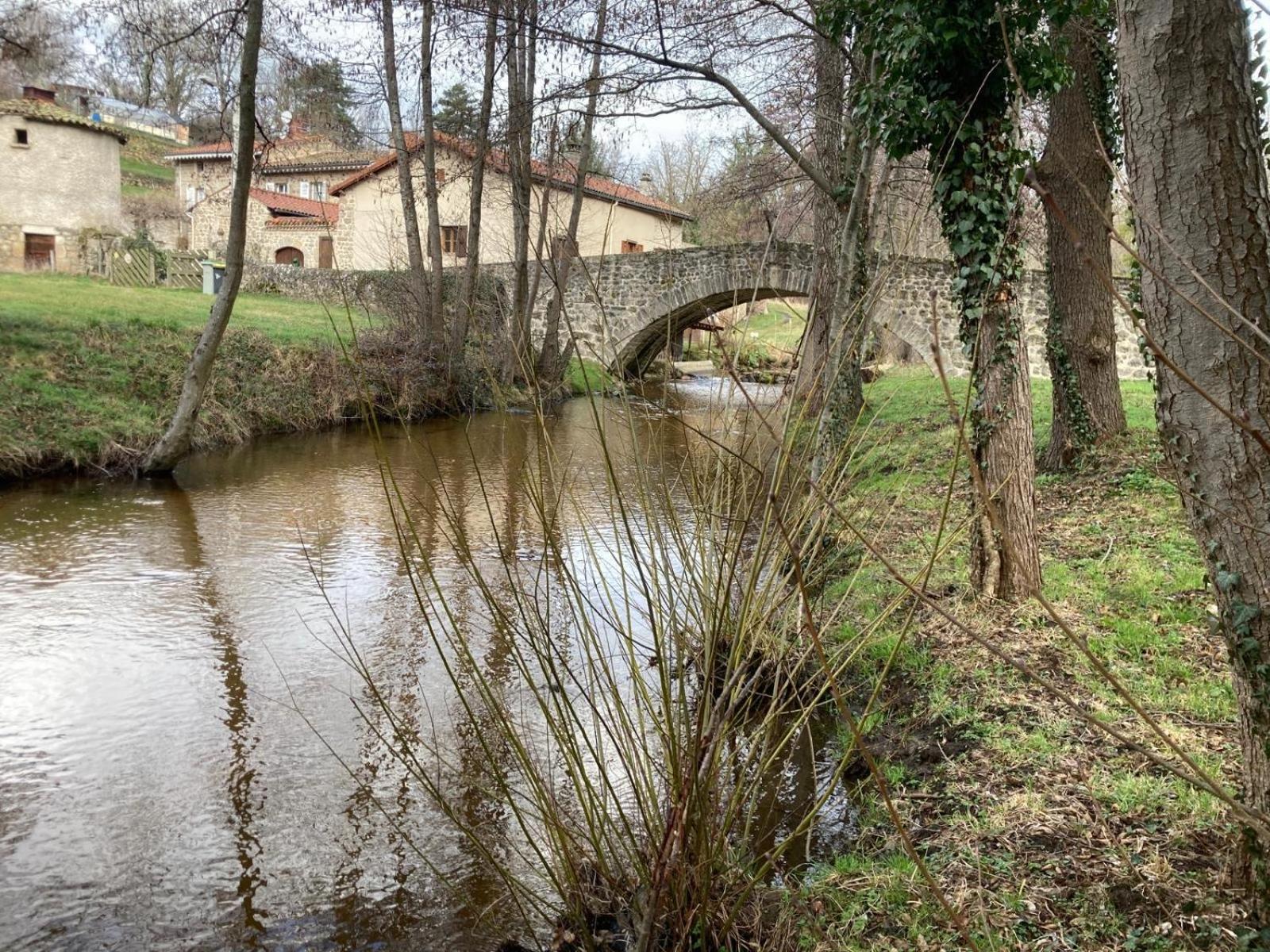 Jolie Maison De Campagne, Compostelle Villa Soleymieux Kültér fotó