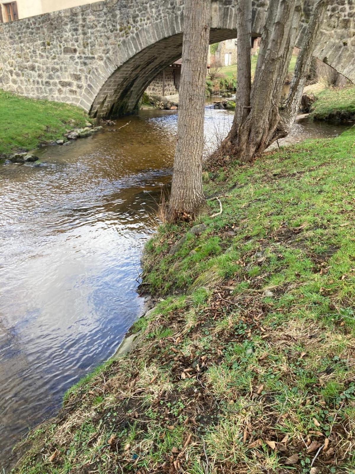 Jolie Maison De Campagne, Compostelle Villa Soleymieux Kültér fotó